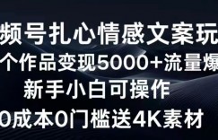 视频号扎心情感文案玩法，单个作品变现5000+，流量爆炸，两分钟一条作品