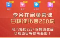“零基础开启赚钱新时代，学会在闲鱼卖课、日精准拓客200粉