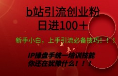日引创业粉 100+ b 站全套打法【实操视频】