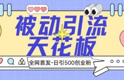 全网首发被动引流天花板 日引500+创业粉