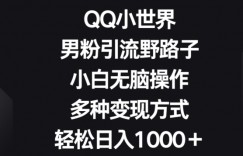 QQ小世界男粉引流野路子，小白无脑操作，多种变现方式轻松日入1000+