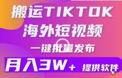 搬运海外短视频，多平台发布，月入3W+有手就行，小白3分钟上手，0门槛