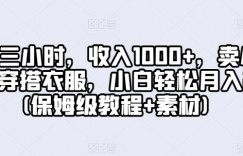每天三小时，收入1000+，卖A级高端穿搭衣服，小白轻松月入2万(保姆级教程+素材)