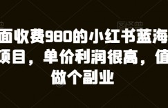 外面收费980的小红书蓝海赛道项目，单价利润很高，值得做个副业