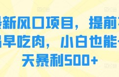 最新风口项目，提前布局早吃肉，小白也能一天暴利500+