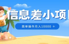 冷门赛道，信息差小项目，0成本，简单操作月入10000
