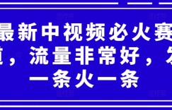 最新中视频必火赛道，流量非常好，发一条火一条