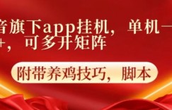 抖音旗下APP挂机，4.0玩法，防异常，更新养机方法