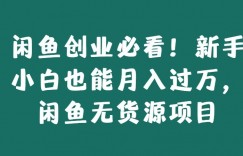 闲鱼创业必看！新手小白也能月入过万，闲鱼无货源项目