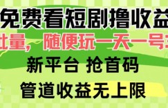 免费看短剧撸收益，可挂机批量，随便玩一天一号30+做推广抢首码，管道收益