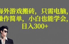 海外游戏搬砖，操作简单，小白可学会，收益稳定，日入300+