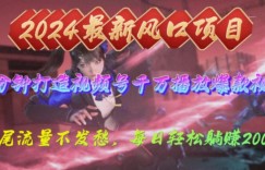 2024年新风口，视频号分成2.0计划，多种玩法打爆视频号，每日轻松躺赚2000+