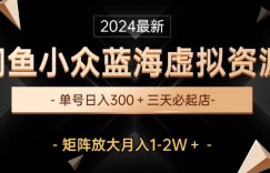 最新闲鱼小众蓝海虚拟资源，单号日入300+，三天必起店，矩阵放大月入1-2W