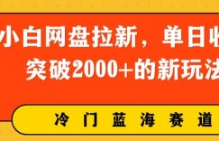 小白网盘拉新，单日收益突破2000+的新玩法