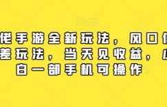 大佬手游全新玩法，风口信息差玩法，当天见收益，小白一部手机可操作