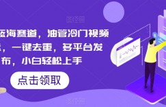 超级蓝海赛道，油管冷门视频搬运，一键去重，多平台发布，小白轻松上手
