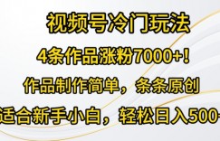 4条作品涨粉7000+，视频号冷门玩法，作品制作简单，条条原创