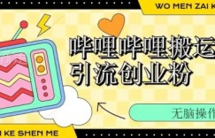 哔哩哔哩b站搬运引流创业粉、操作简单、无脑搬运