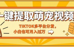 一键智能提取tiktok萌宠视频，多平台分发，小白也可月入过W