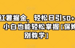 小红薯掘金，轻松日引50+流量，小白也能轻松掌握【保姆级别教学】
