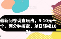 最新问卷调查玩法，5-10元一个，两分钟搞定，单日轻松100+
