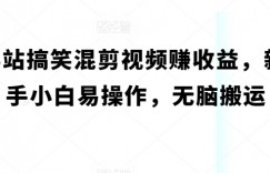 B站搞笑混剪视频赚收益，新手小白易操作，无脑搬运