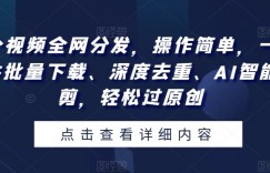 一个视频全网分发，操作简单，一款软件批量下载、深度去重、AI智能混剪，轻松过原创