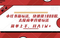 小红书新玩法，快速涨1000粉，去接商单升级玩法，简单上手