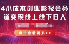 2024小成本创业影视会员多渠道变现线上线下，每天都有收益