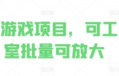 0撸游戏项目，可工作室批量可放大