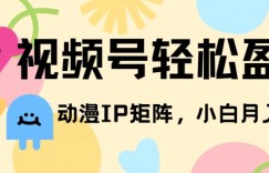 视频号轻松盈利，动漫IP矩阵，小白也能月入3000+!