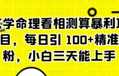 玄学命理看相测算暴利项目，每日引 100+精准粉，小白三天能上手
