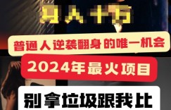 2024年最火项目，如何靠“卖项目”逆装翻身，简单易懂 详细教学 完整版5节课