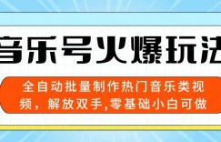 音乐号火爆玩法，全自动批量制作热门音乐类视频，解放双手，零基础小白可做，多平台发布