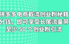 淘宝拼多多电商截流创业粉秘籍，仅需 1 分钱，即可享受长尾流量带来的至少 50 个创业粉引流