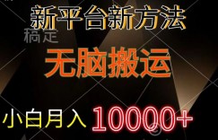 新平台新方法，无脑搬运，小白轻松上手不动脑
