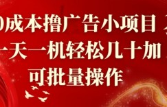 0成本撸广告小项目，一天一机轻松几十加，可批量操作