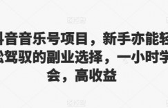 抖音音乐号项目，新手亦能轻松驾驭的副业选择，一小时学会，高收益