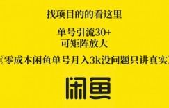 零成本闲鱼单号月入3k没问题只讲真实