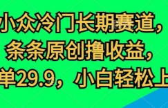 小众冷门长期赛道，条条原创撸收益，一单29.9，小白轻松上手
