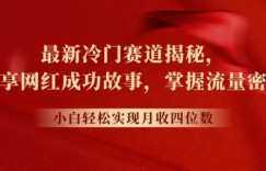最新冷门赛道揭秘，分享网红成功故事，小白轻松掌握流量密码