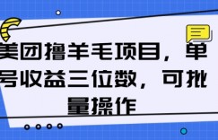美团撸羊毛项目，单号收益三位数，可批量操作