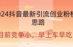 2024抖音最新引流创业粉作品方式
