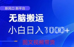 京东视频图文搬运带货项目，蓝海赛道小白轻松上手，每天一小时轻松获取收益