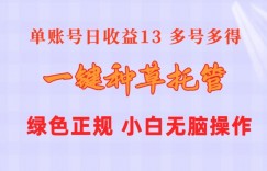 一键种草托管 单账号15分钟13元  10个账号一天130  绿色稳定 可无限推广