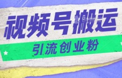 视频号搬运去重，单日引流200+创业粉