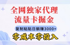 全网独家代理流量卡掘金，复制粘贴，零成本零投入，新手小白有手就行