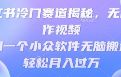 小红书冷门赛道揭秘，无需制作视频，利用一个小众软件无脑搬运，轻松月入过万