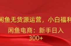 闲鱼无货源运营，小白福利，日入300加