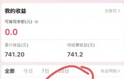 被动收益？1天4小时，3天搞了741.2元？这个玩法目前是风口！